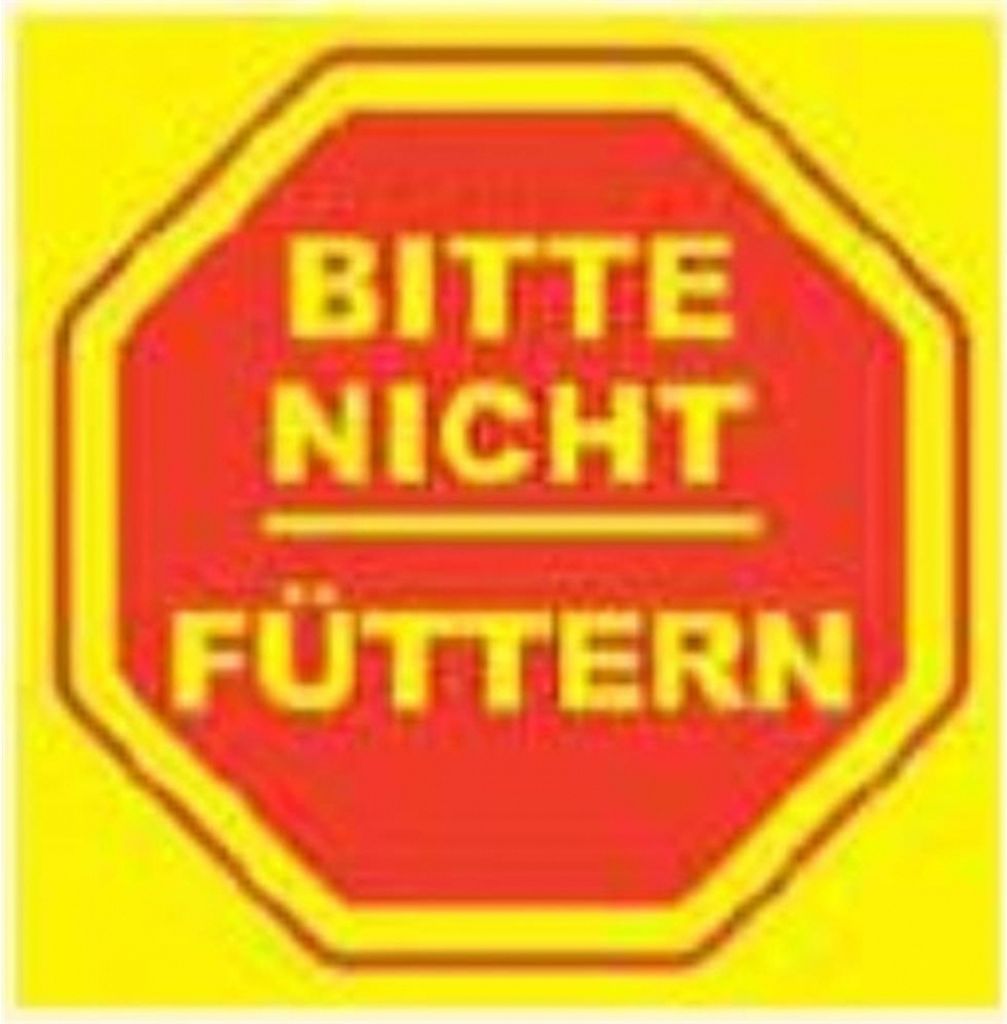 Warnschild BITTE NICHT FÜTTERN Kunststoffschild 200 mm x Produktbild 