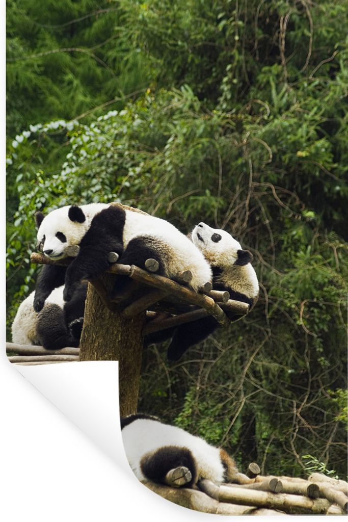 MuchoWow - Repositionierbar - Wasser abweisend