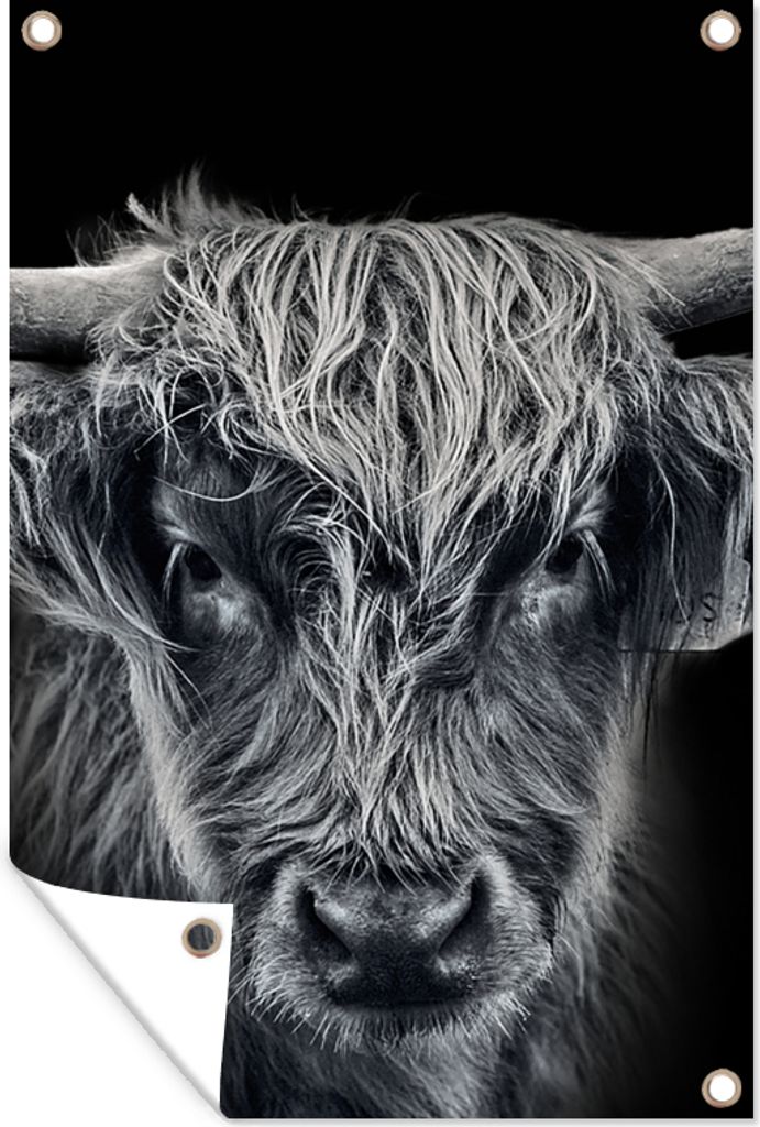 MuchoWow 40x60 cm Outdoor-Poster Gartendeko Sichtschutz Garten Poster für den Garten Schottischer Highlander - Schwarz - Kuh - Tiere