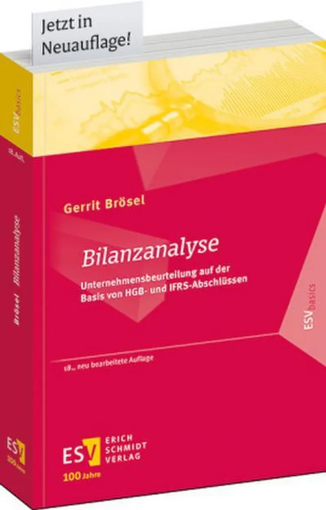 Guide de Bilanzanalyse Complet pour l'Audit et la Finance d'Entreprise