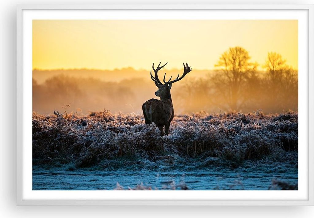 Gerahmtes Poster - Weißer Rahmen - Feld Nebel Natur Baum - 91,5x61 cm - Wand Bild - Wanddeko - Wandbilder - Kunstposter - Wandposter - Bilderrahme...