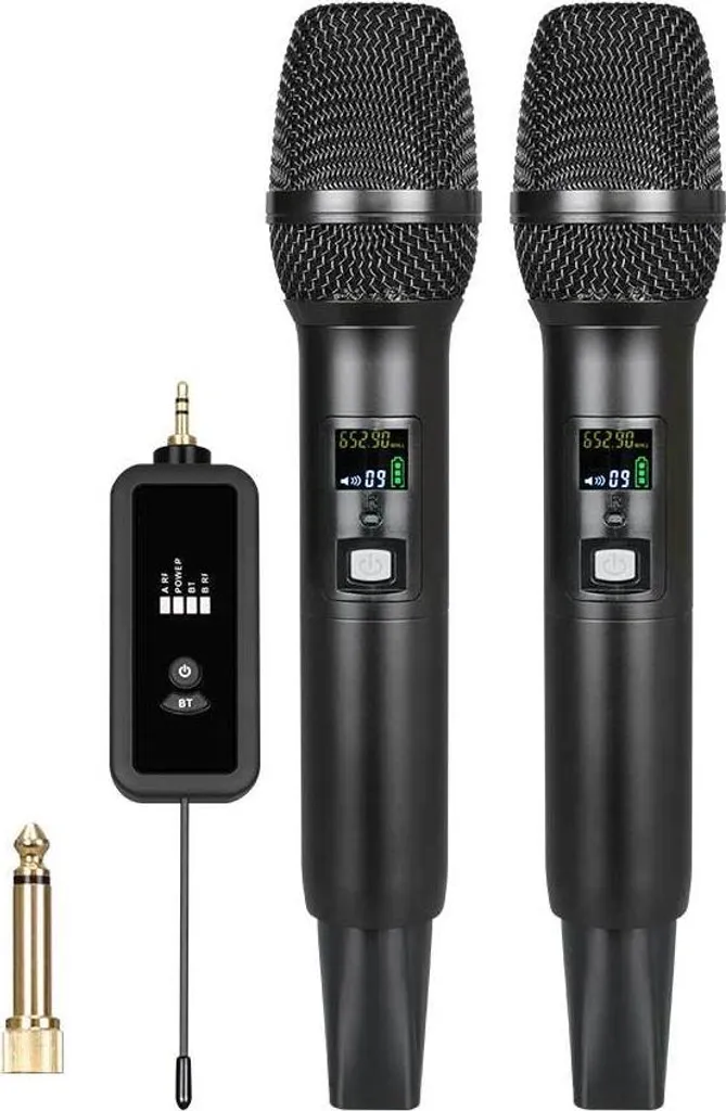 Kit Micro sans Fil pour Soirée Karaoké et Animation de Conférences Pro