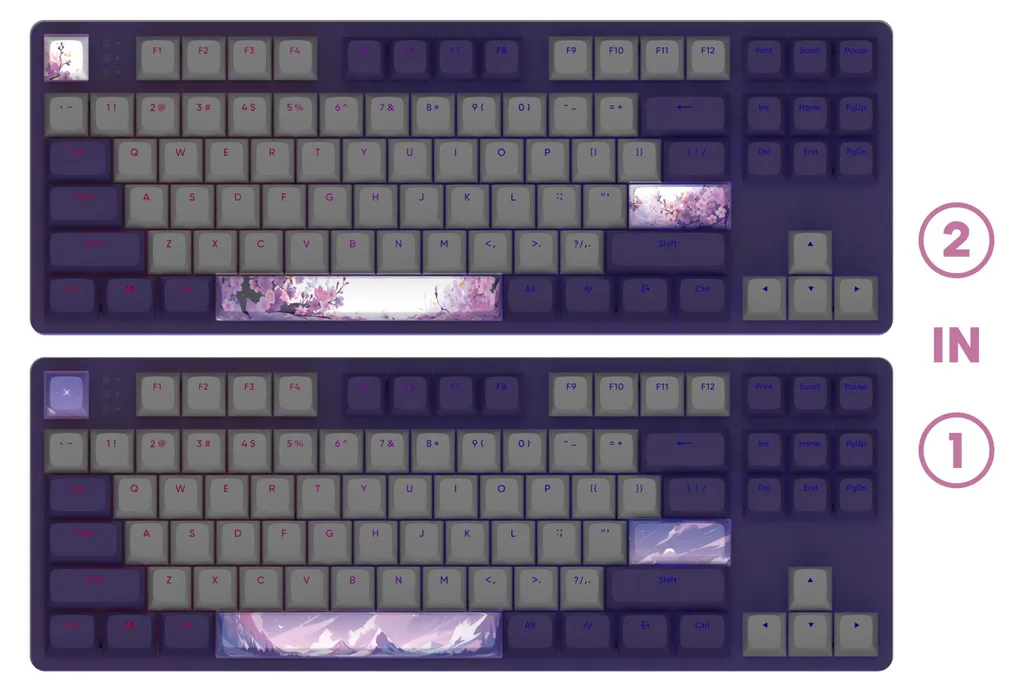 Clavier Gaming RGB Violet Horizons Dark Project One 87 Touches ANSI