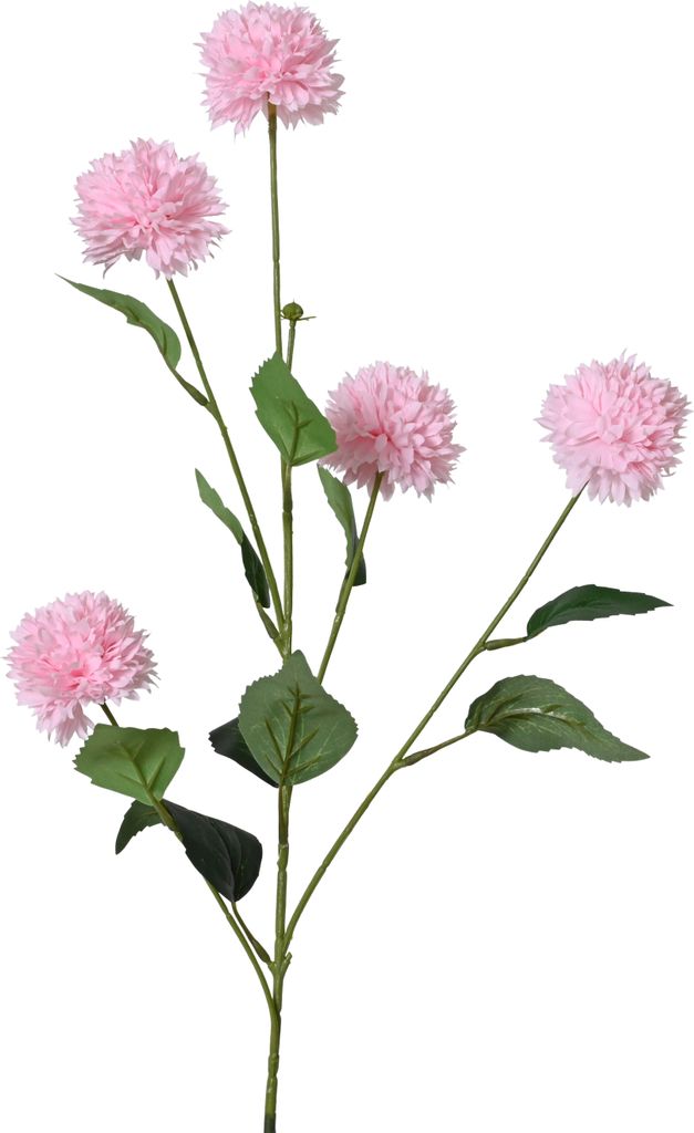 Kornblume FLOWER