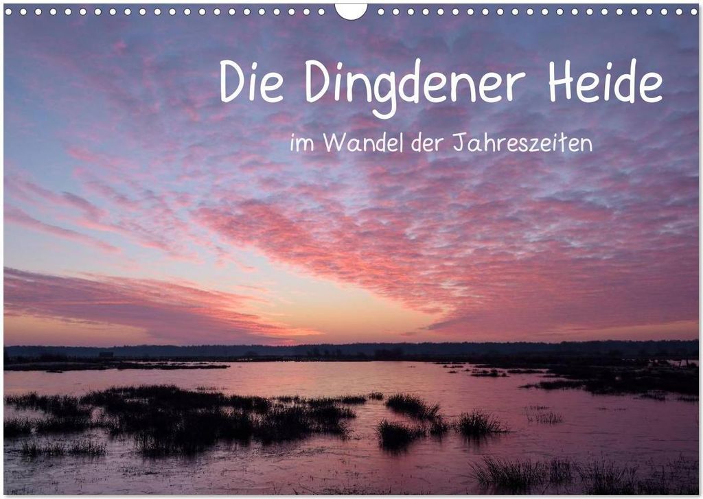 Die Dingdener Heide im Wandel der Jahreszeiten (Wandkalender 2026 DIN A3 quer), CALVENDO Monatskalender