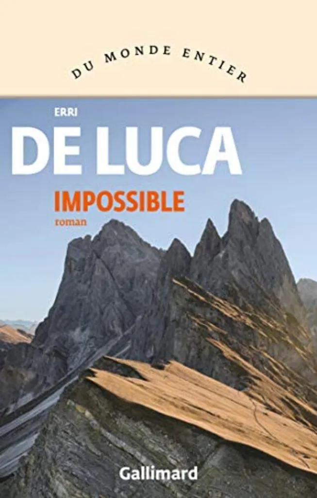 Puzzle Impossible pour Relaxation et Concentration Adultes 1000p