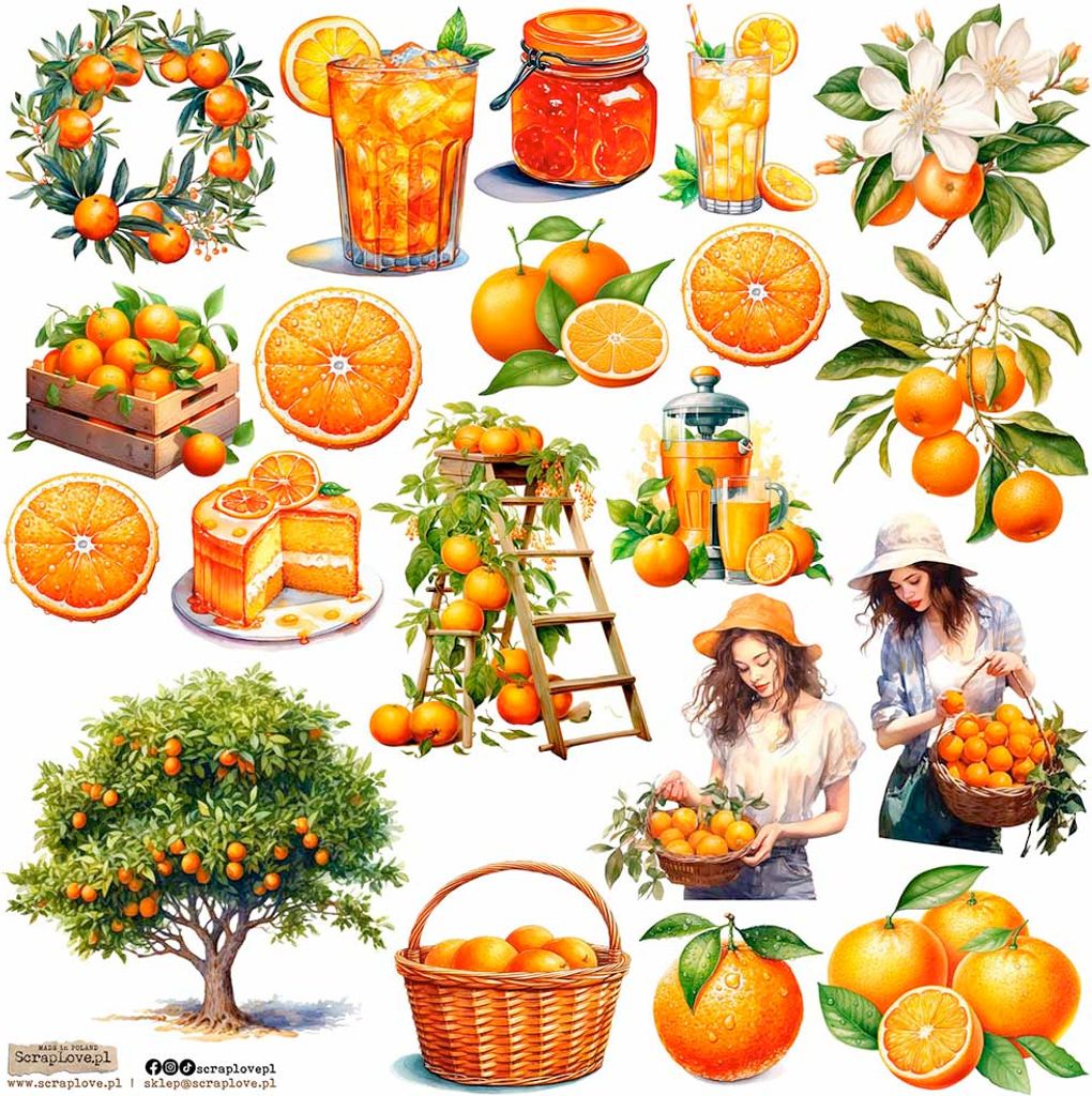AUFKLEBER - ScrapLove - Oranges 1 - Orangen 1