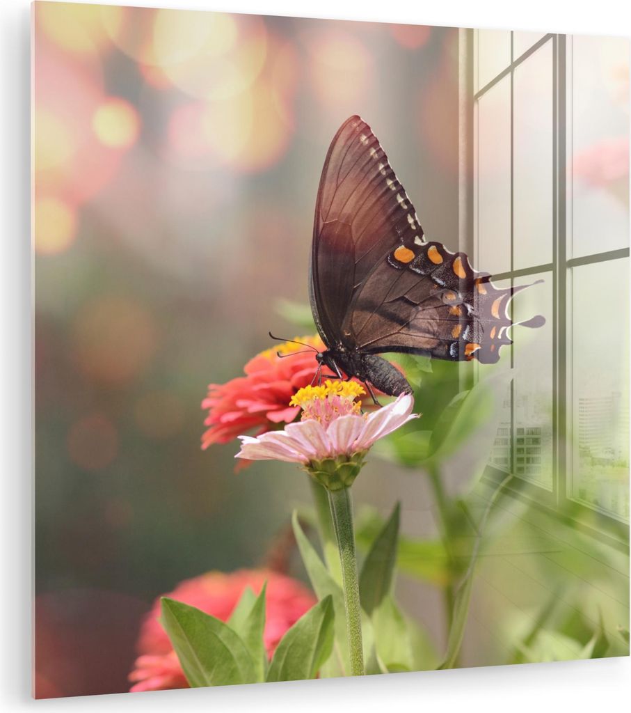 MuchoWow Glasbilder - Bilder auf Wandbild - Foto auf Glas Blumen - Schmetterling - Natur - Blume 90x90 cm Wanddekoration aus Glas - Acrylglasbild -...