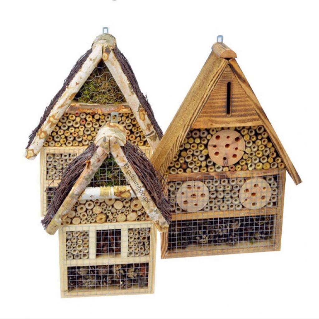 Casa degli insetti nel verde - - - Shop