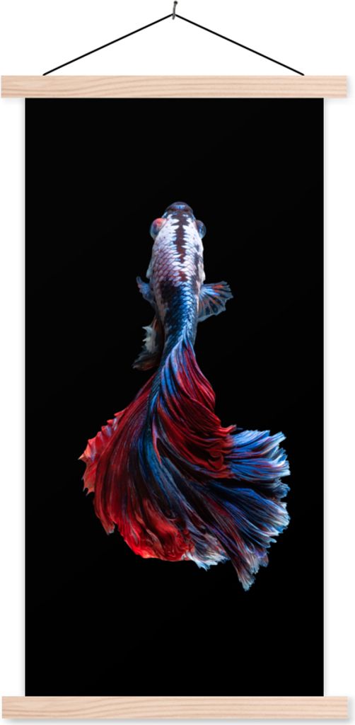 MuchoWow Textilposter Fisch - Schwanz - Schwarz 60x120 cm mit holzfarbenen Rahmen - Holz
