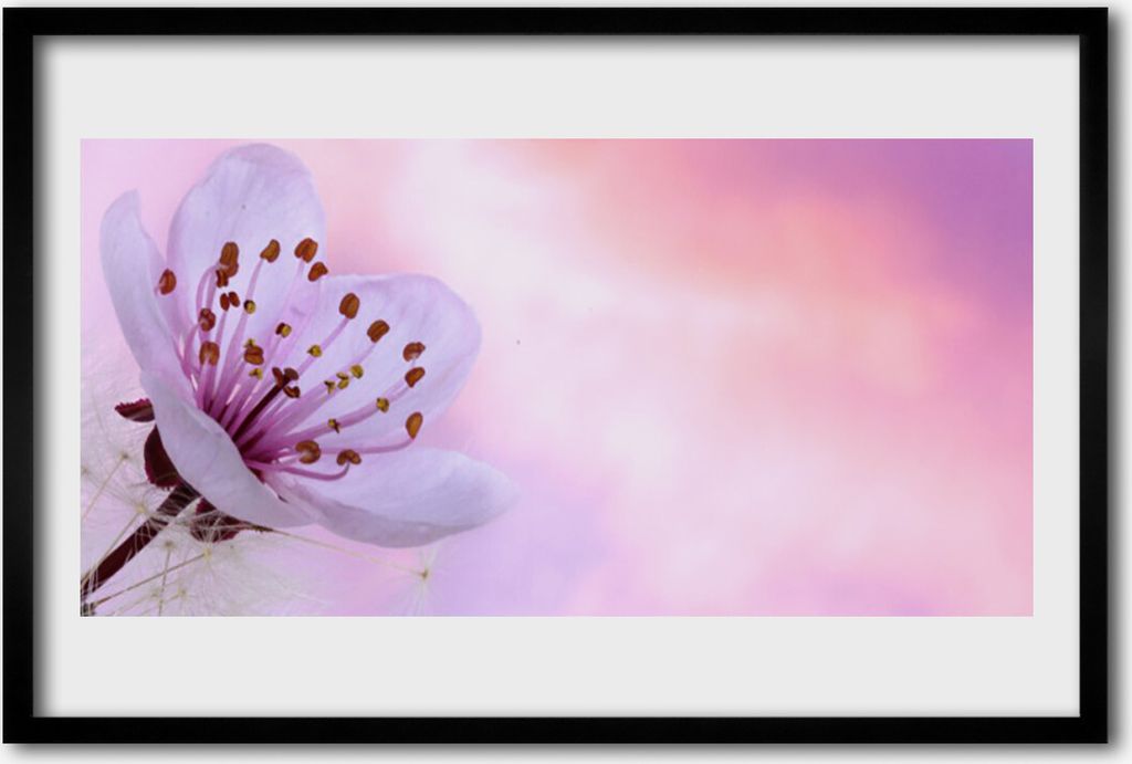 Bild 60x40 MDF-Rahmen Wandkunst Natur Blume Pflanze