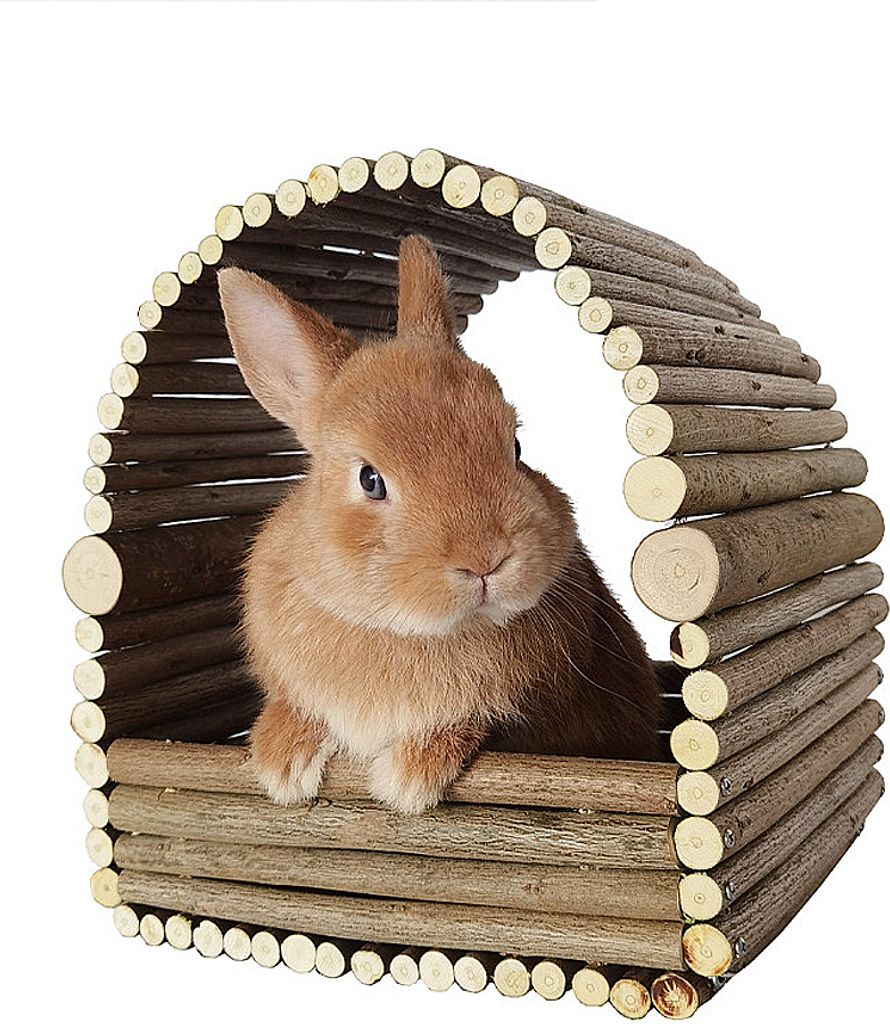 Hasenhaus Aus Holz Mit Geräumigem Sitzstangenversteck, Bogenspielhaus Mit Zaun Für Kaninchenversteck,Spielzeug Für Innenhasen,Meerschweinchen,Ha...