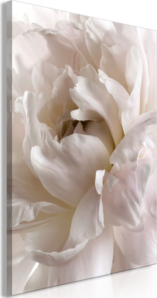 Vlies Leinwandbild - Fluffy Distraction (1 Part) Vertical 40x60 cm Blumen b-C-0614-b-a