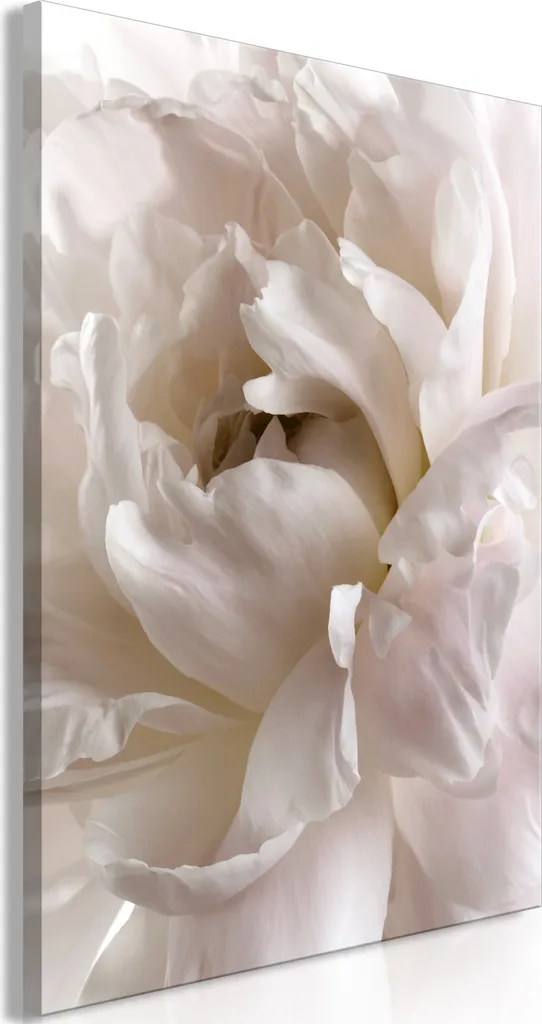 Quadro Relax Fluffy Distraction 80x120 | Tela Floreale Moderna