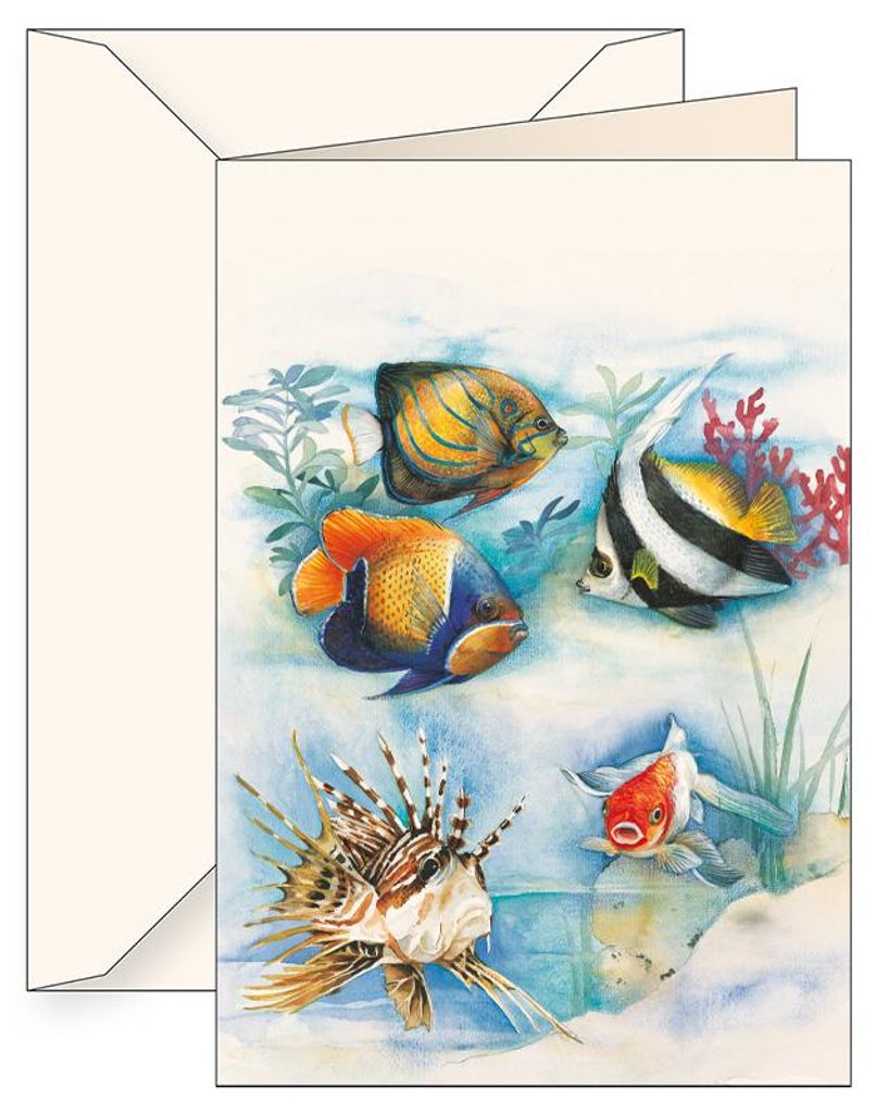 Sammelalbum B6 + Umschlag 5588 Fische – Tassotti
