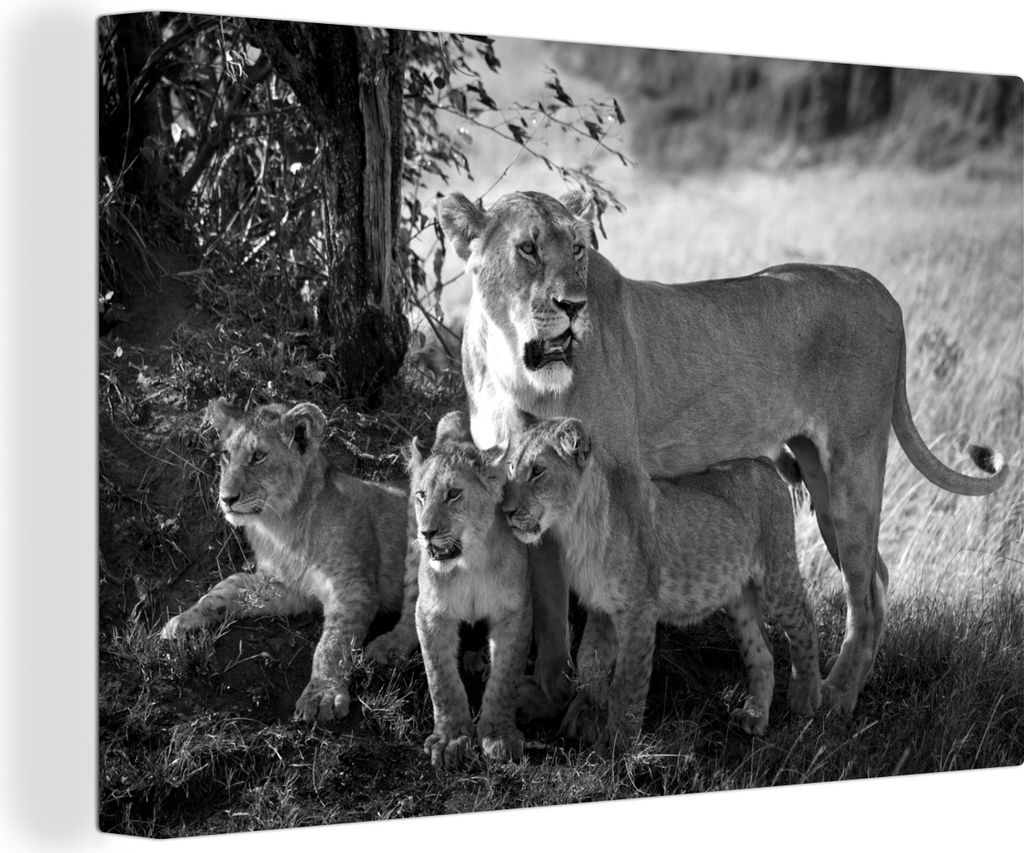 OneMillionCanvasses - Leinwandbilder - 140x90 cm, Löwen in der Savanne - schwarz und weiß, Wandbilder Kunstdruck Wanddekoration