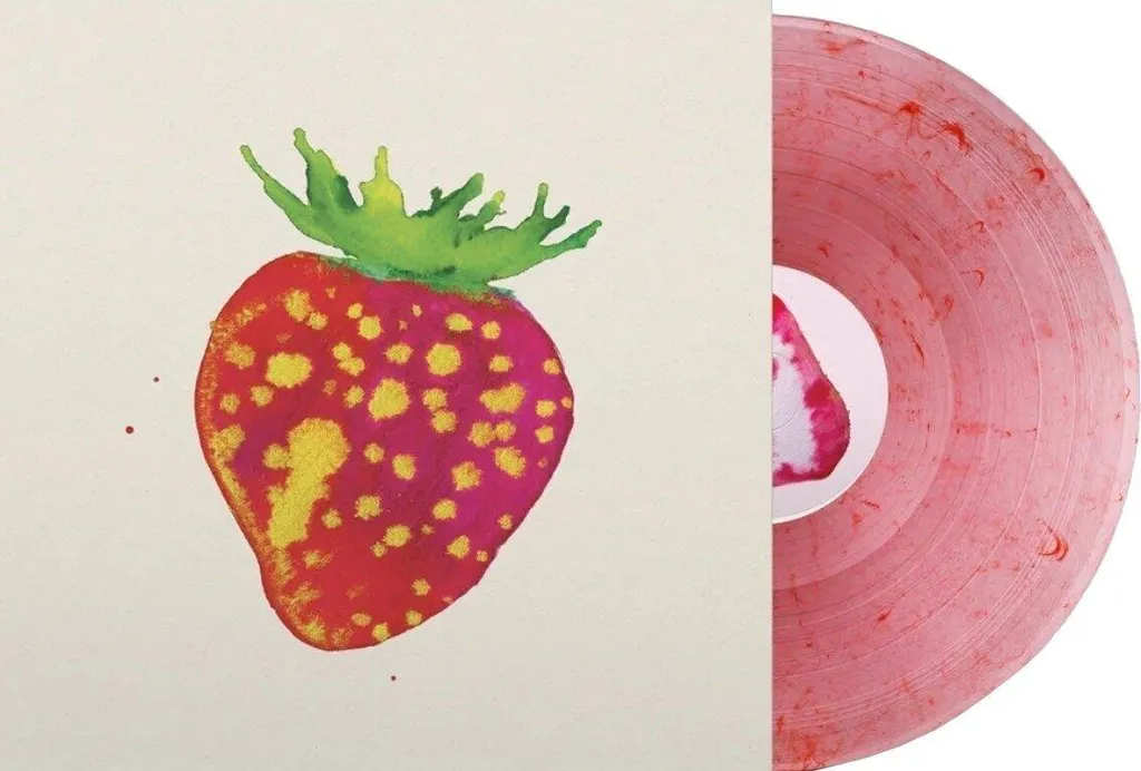 Édition Rare Sit Down For Dinner de Blonde Redhead en Vinyle Marbré
