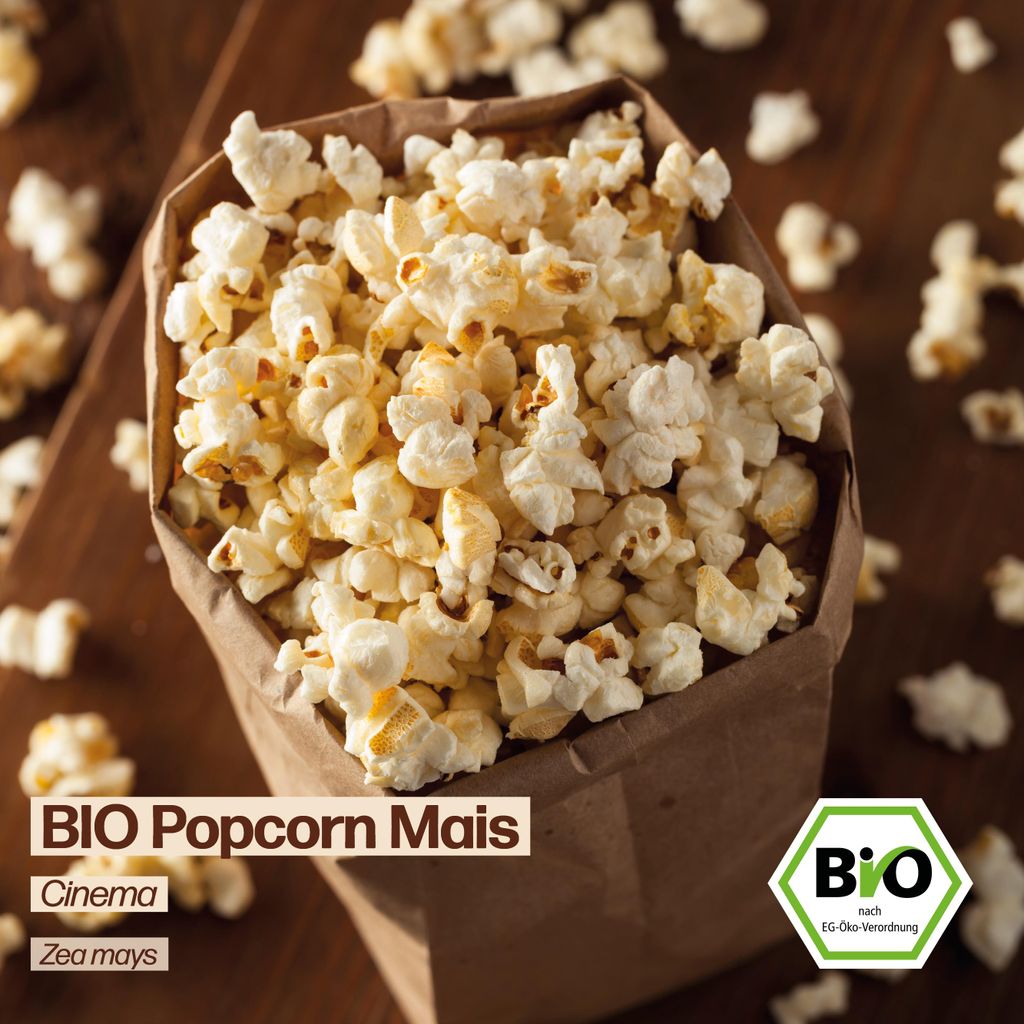 Samenliebe Popcornmais Samen | Cinema - samenfestes