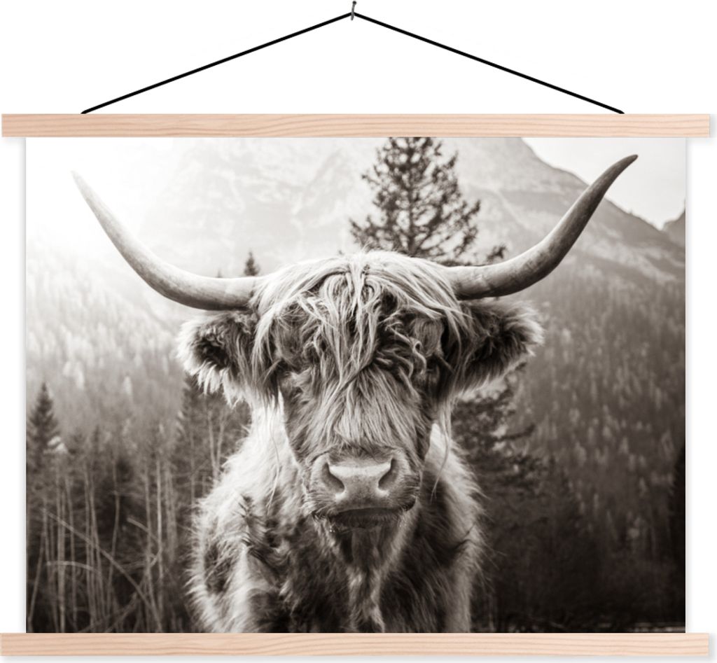 MuchoWow Textilposter Scottish Hochlandrind - Schwarz - Weiß 150x113 cm mit holzfarbenen Rahmen - Poster