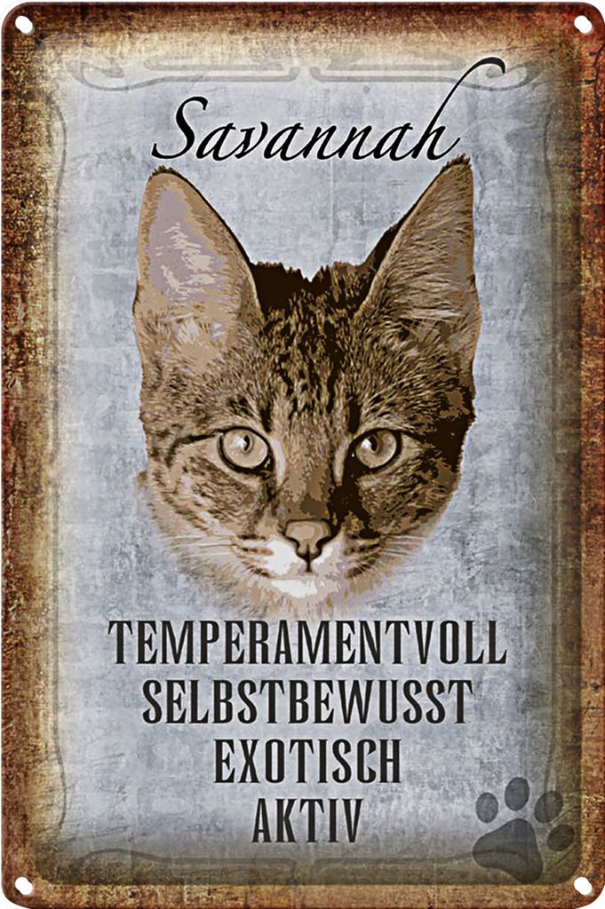 Blechschild Spruch 40x30cm Savannah Katze exotisch