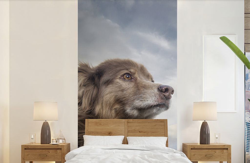 MuchoWow Fototapete für Wohnzimmer oder Schlafzimmer Wandtapete Vinyl Motivtapete Starrender Hund - 120x240 cm - Hintergrundbild