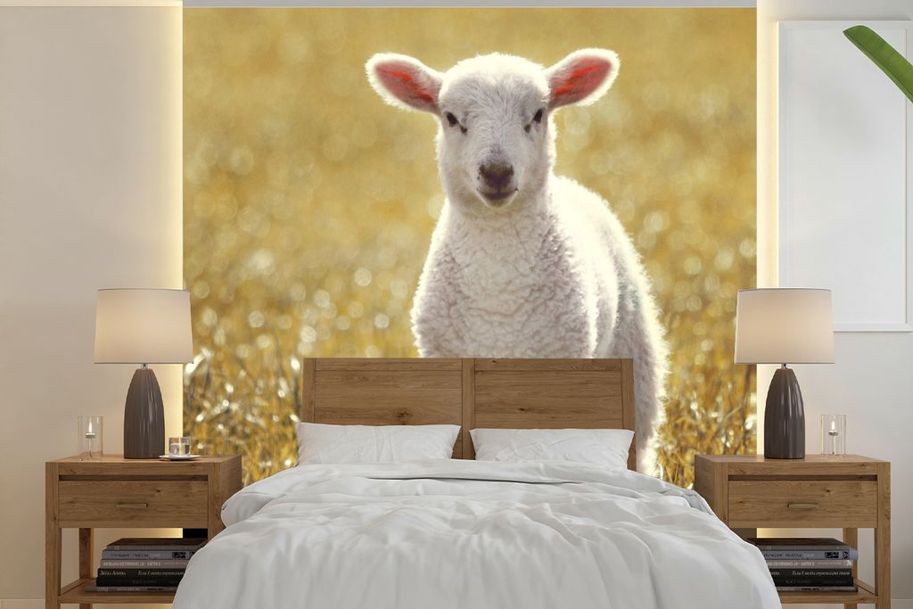 MuchoWow Fototapete für Wohnzimmer oder Schlafzimmer Wandtapete Vinyl Motivtapete Lamm - Gras - Sonne - 220x220 cm - Tapeten