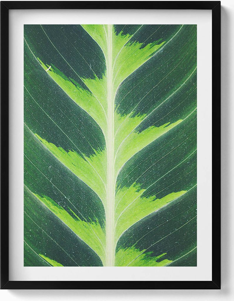 Textur und Adern eines Blattes– Wandbild mit Rahmen – Gerahmtes Bild – Wanddekoration – 60x80 cm – Schwarz Rahmen