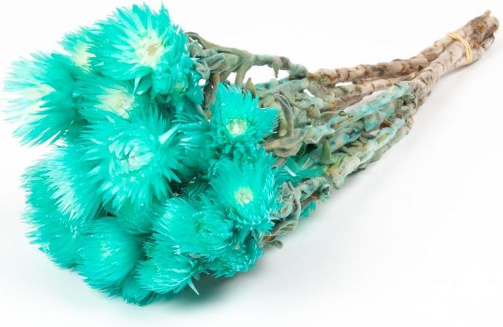 INNA-Glas Sonnenblumen Trockenstrauß Bibiana, türkis, 30-40cm, Ø15cm - Getrockneter Strauß