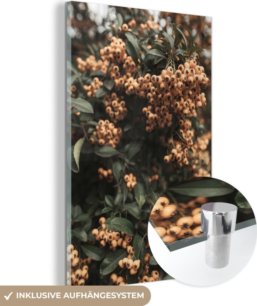 MuchoWow Glasbilder - Bilder auf Wandbild - Foto auf Glas Beeren - Natur - Blätter - Strauch 20x30 cm Wanddekoration aus Glas - Acrylglasbild - Ac...