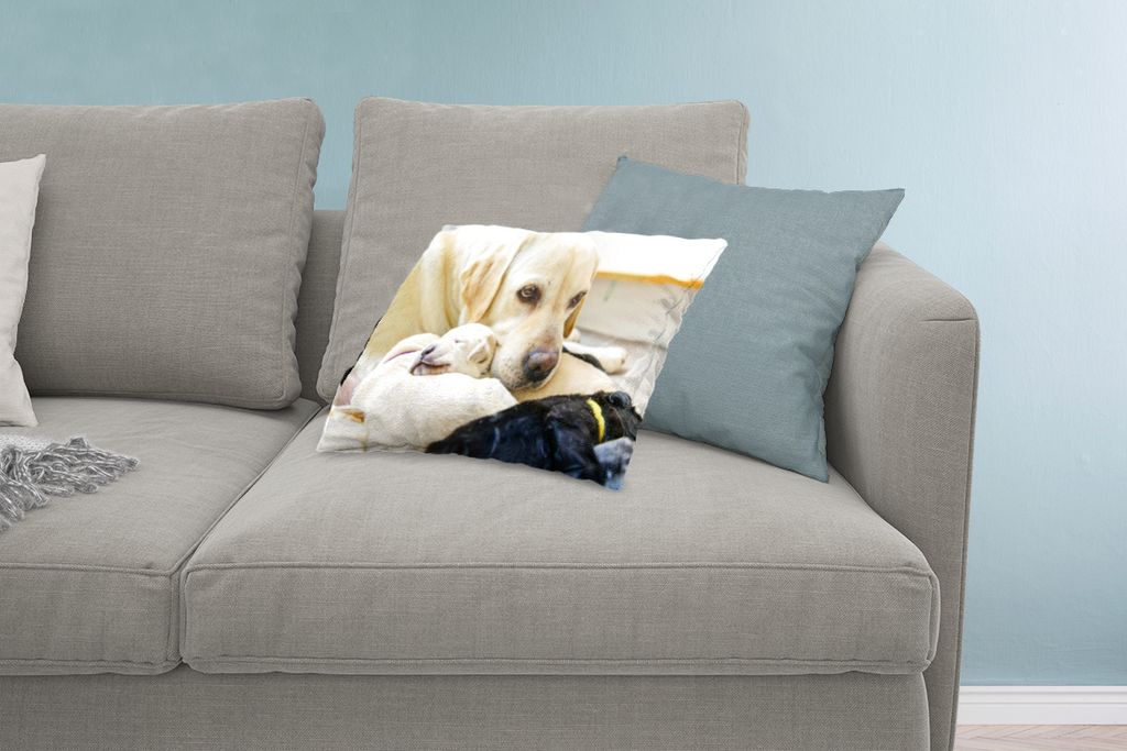 MuchoWow Zierkissen Sofakissen Wohnzimmer Dekokissen 60x40 cm Hündin sitzt schützend bei ihren Welpen - Kopfkissen - Polster mit Foto