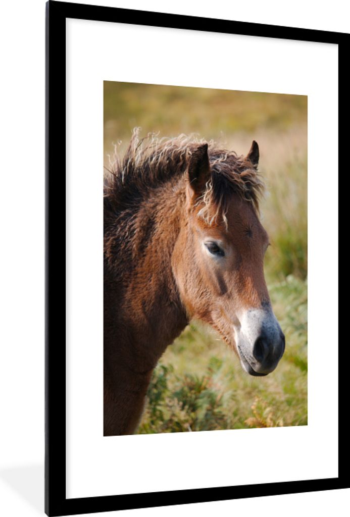 MuchoWow MuchoWow Gerahmtes Poster Pferd - Pony - Porträt 60x90 cm - Poster mit zchwarzem Bilderrahmen - Dekoration - Wandposter Wohnzimmer - ...