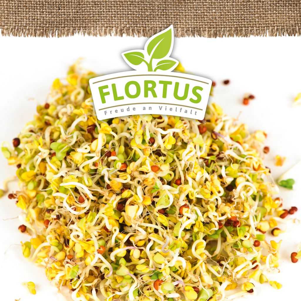 Keimsprossen Brokkoli (200 g) |Keimsprossen von FLORTUS Produktbild 5