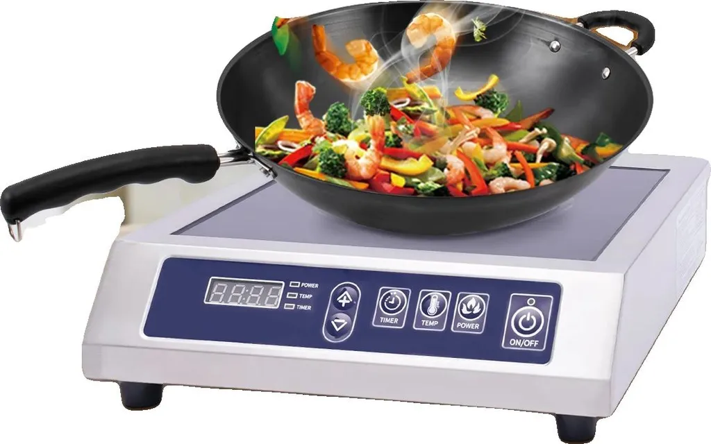 Table de cuisson à induction 3500W réglable 60-300°C - Modèle Pro T220