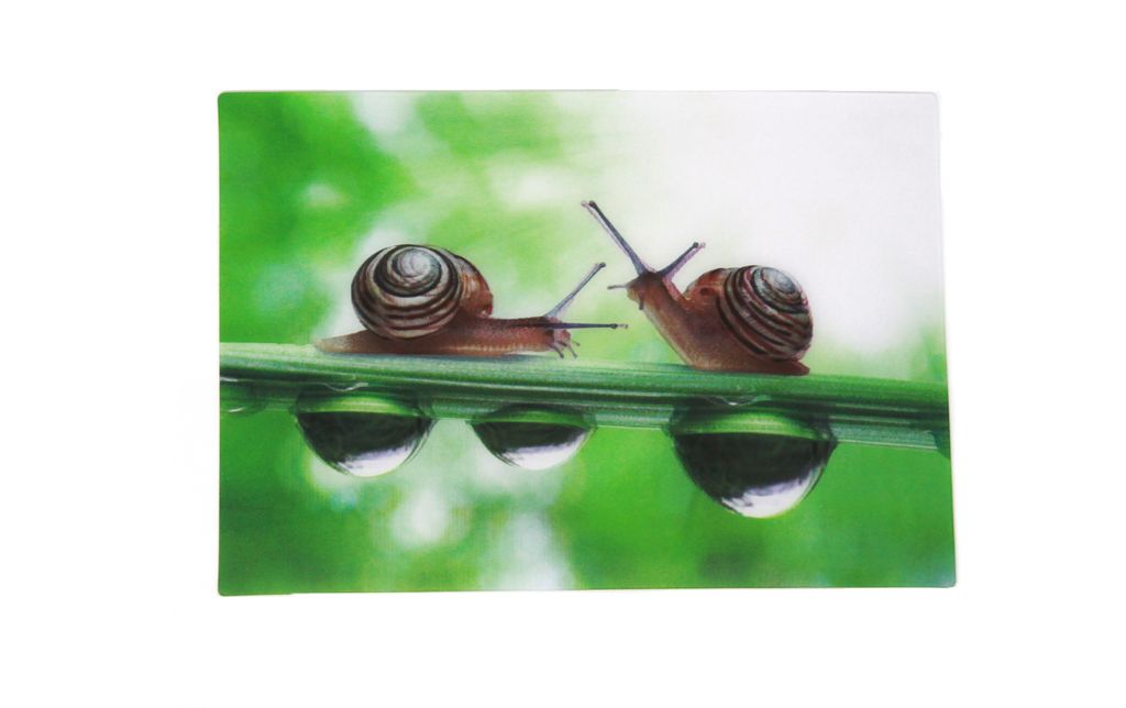 3 D Ansichtskarte Schnecken, Postkarte Wackelkarte Produktbild 