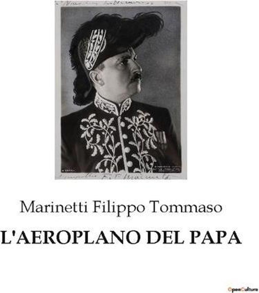 Das Flugzeug des Papstes