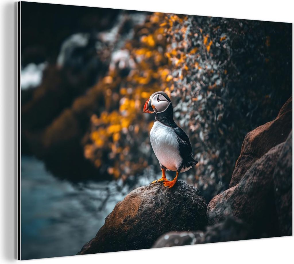 MuchoWow Wanddekoration Metall Metallbild Wandkunst 60x40 cm Papagei - Vogel - Felsen - Weiß MuchoWow Aluminium Gemälde - Gemälder