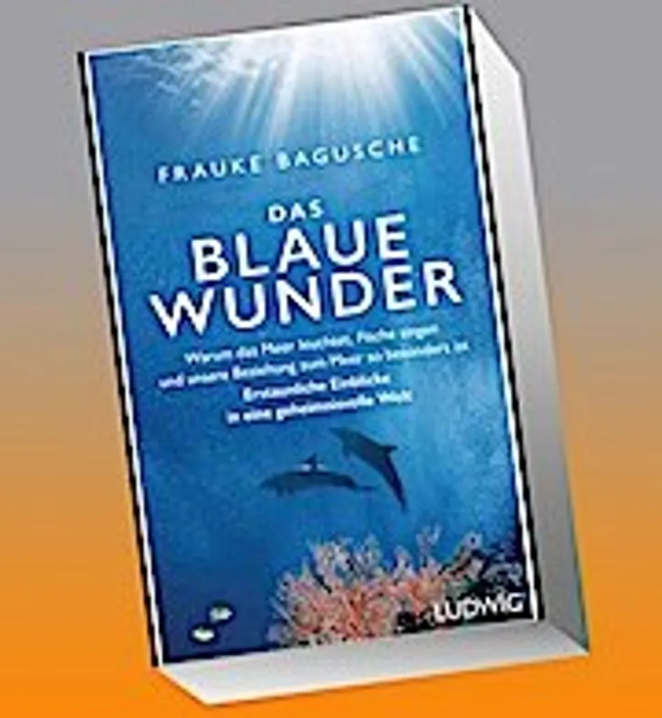 Nettoyant vitres Das blaue Wunder sans traces pour fenêtres et baies