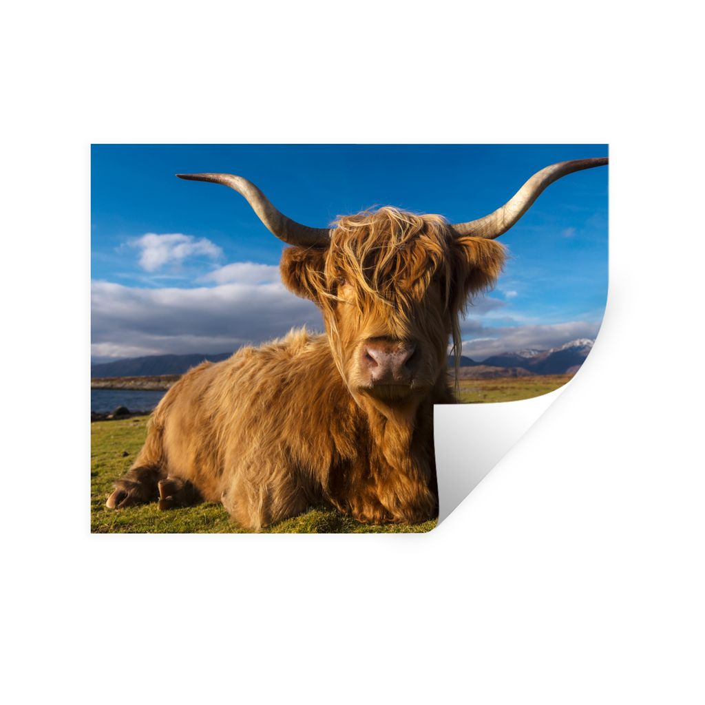 MuchoWow Wandtattoo Wandsticker Wandaufkleber Schottische Highlander - Tiere - Gras 120x90 cm Selbstklebend und Repositionierbar - Aufkleber
