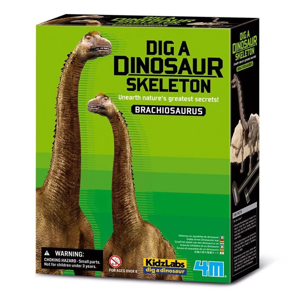 Jeu Éducatif Squelette de Brachiosaurus à Construire - Kit Scientifique - 5