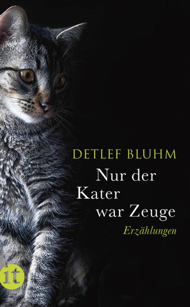 Bluhm, D: Nur der Kater war Zeuge