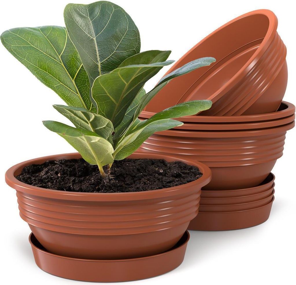 Plastard Blumenschale 5er Set Terrakotta Ø 25 cm mit Untersetzer - Pflanzschale