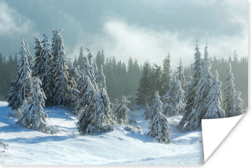 MuchoWow Poster Wald - Schnee - Winter 60x40 cm - Schlafzimmerdekoration