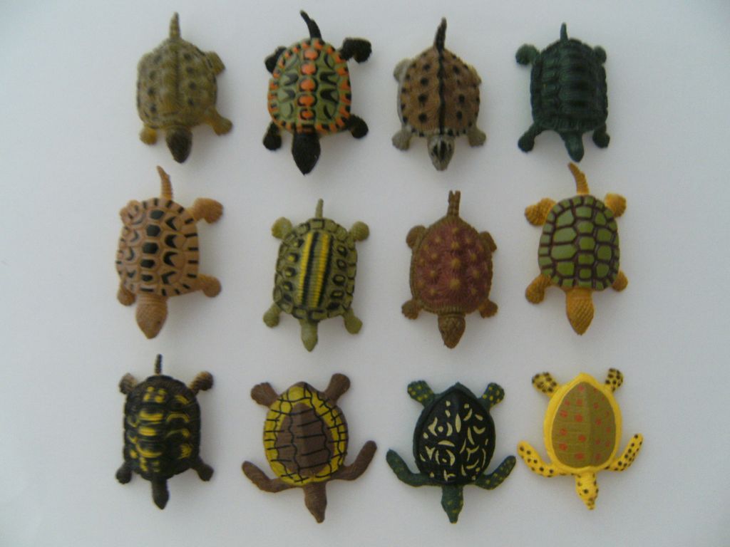 Spieltiere Schildkröten 12erSet; 4  cm; Schildkröte Turtle Produktbild 