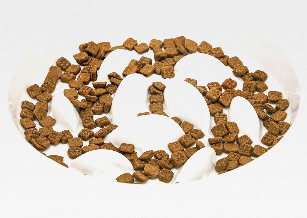 Keramik Anti Schling Napf Katze, 16 cm Breite Antischlingnapf Katze für Trockenfutter und Nassfutter, Flache Slow Feeder für Katzen und Kleine Hu...