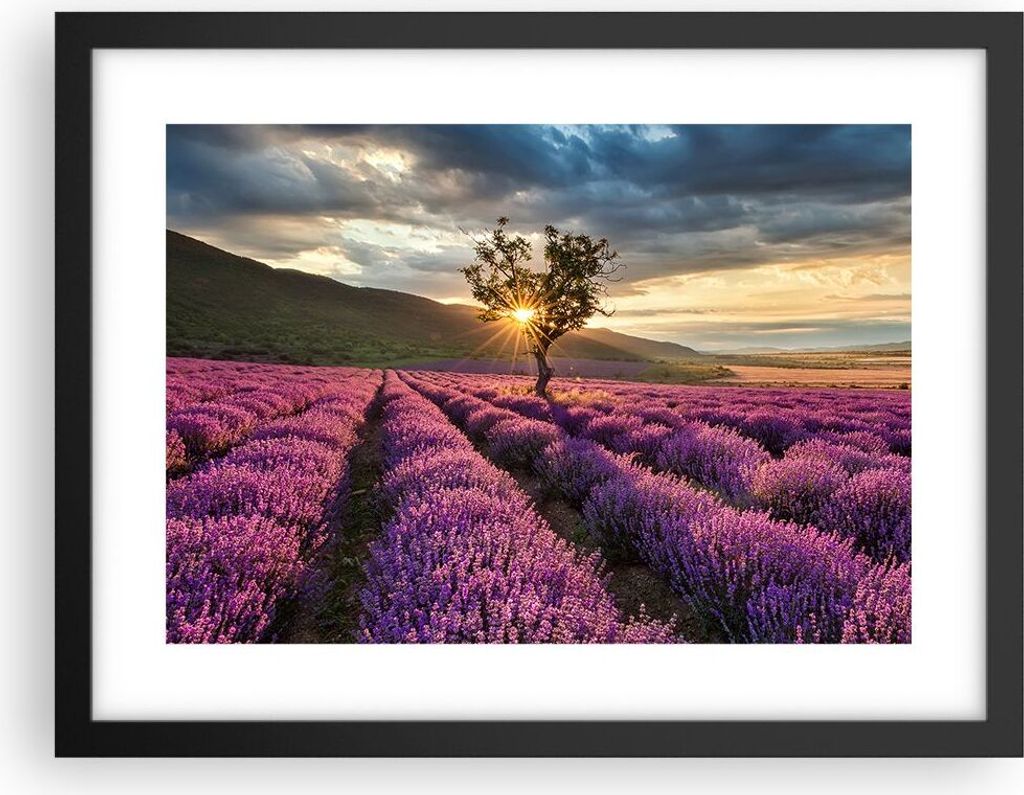 Gerahmtes Poster - Schwarzer Rahmen - Lavendel Berge Feld - 40x30 cm - Wand Bild - Wanddeko - Wandbilder - Kunstposter - Wandposter - Bilderrahmen ...