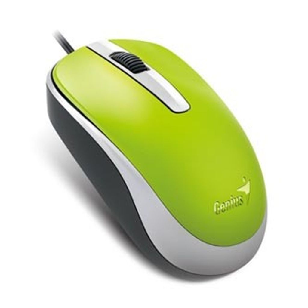 GENIUS Maus DX-120, kabelgebunden, 1200 dpi, USB, grün (31010105110)