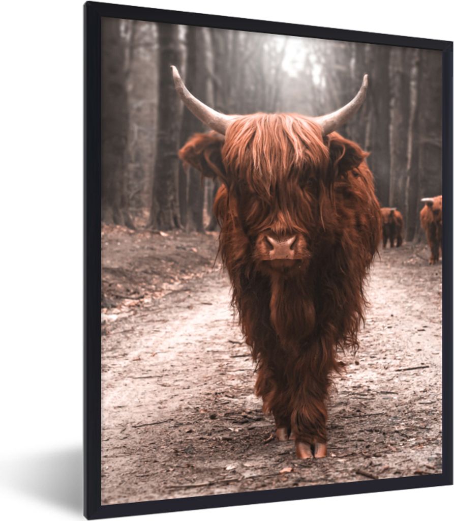 MuchoWow Gerahmtes Poster Schottischer Hochländer - Wald - Kuh - Tiere - Natur 30x40 cm - Poster mit Schwarzem Bilderrahmen Wandposter Rahmen Fo...