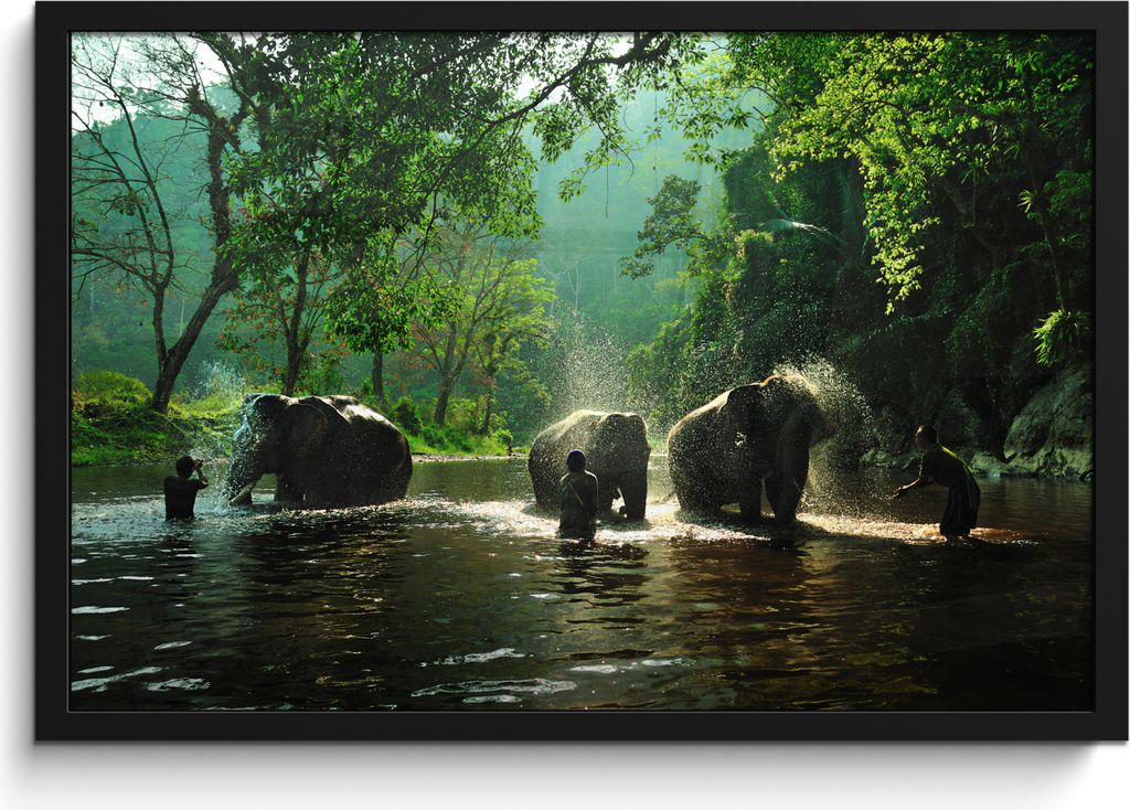 MuchoWow MuchoWow Gerahmtes Poster Elefant - Wasser - Bäume - Grün - Tiere 60x40 cm - Poster mit zchwarzem Bilderrahmen - Printing - Wanddeko...