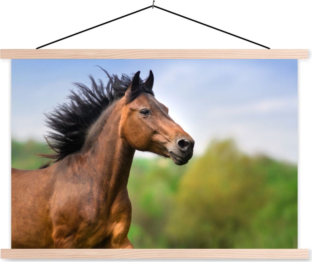 MuchoWow Textilposter Pferd - Tier - Mähne - Braun 60x40 cm mit holzfarbenen Rahmen - Bilder