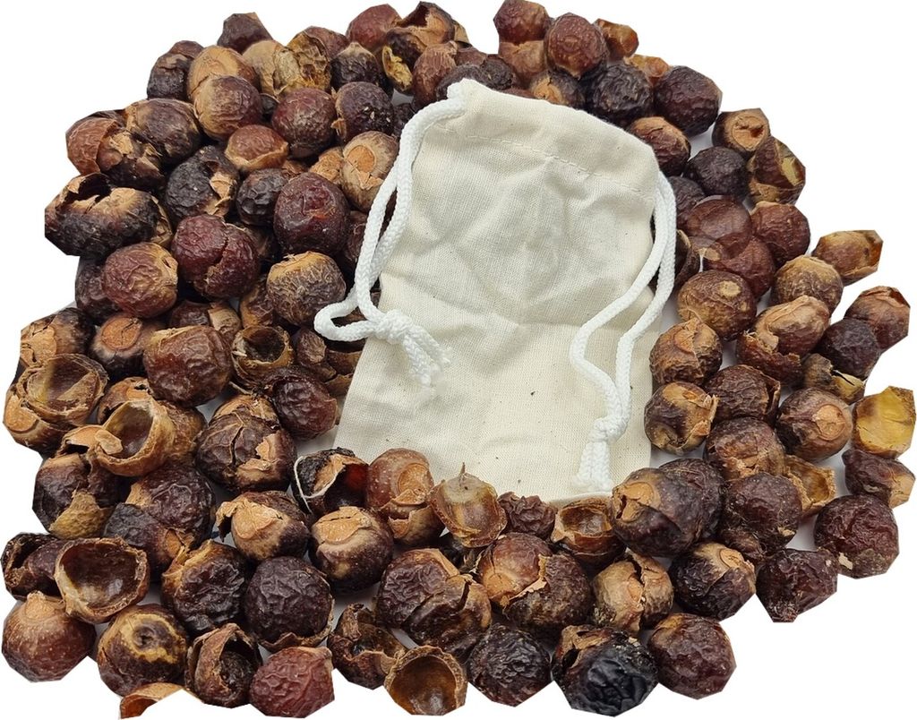 Indische Waschnuss-Schalen 500g Soapnut inkl. Stoffbeutel Waschnüsse